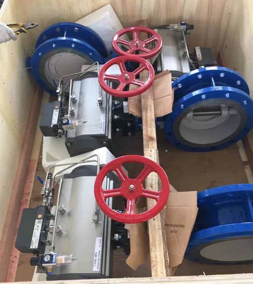 Pneumatic Butterfly Valve packing_