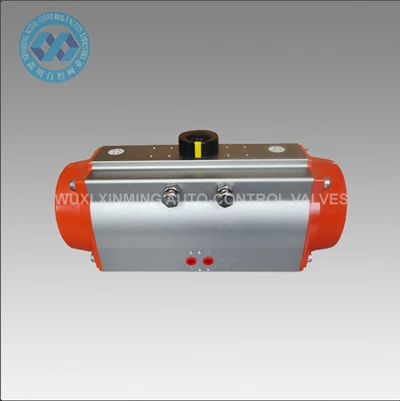 Actuadors pneumàtics versàtils per a diverses necessitats d'automatització