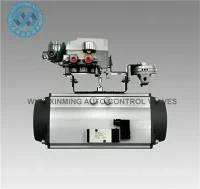 Sr pneumàtic actuador rotatiu