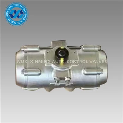 Vàlvules pneumàtiques d'acer inoxidable