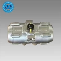 Vàlvules pneumàtiques d'acer inoxidable
