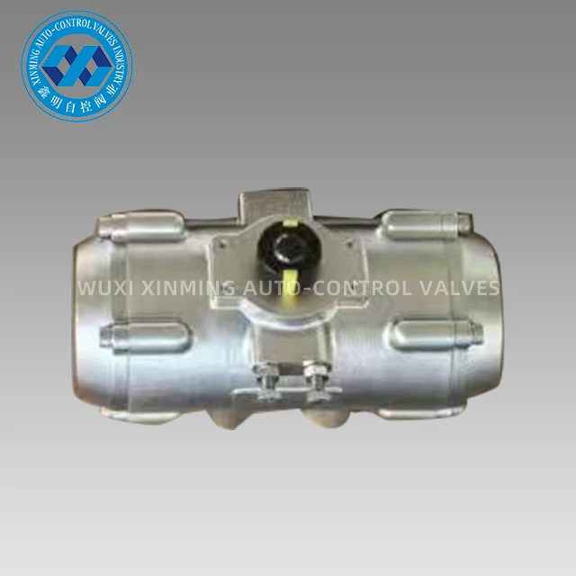 Vàlvules pneumàtiques d'acer inoxidable